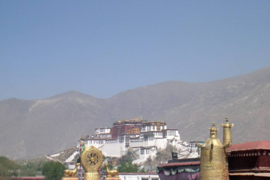 Weekje Lhasa
