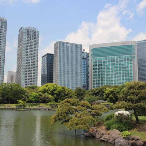 Op pad in Tokyo