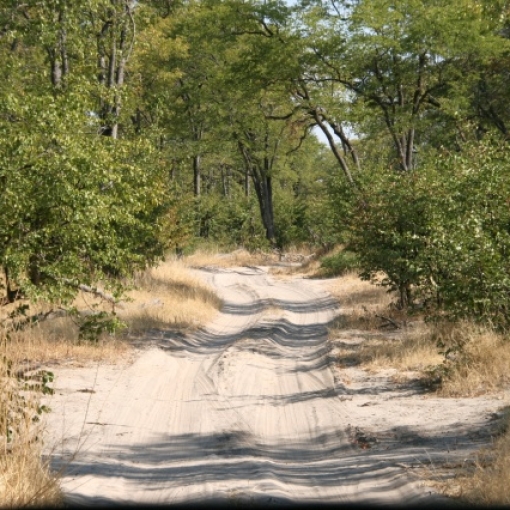 Moremi Nationaal Park