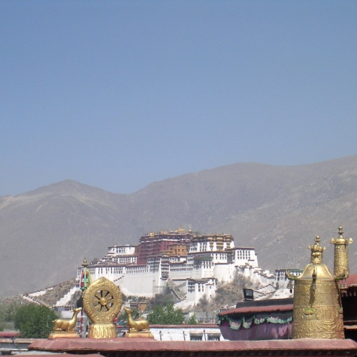 Weekje Lhasa