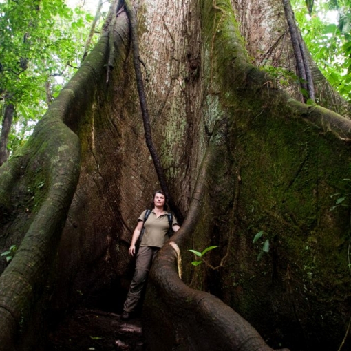 Vulcan Arenal – La Fortuna