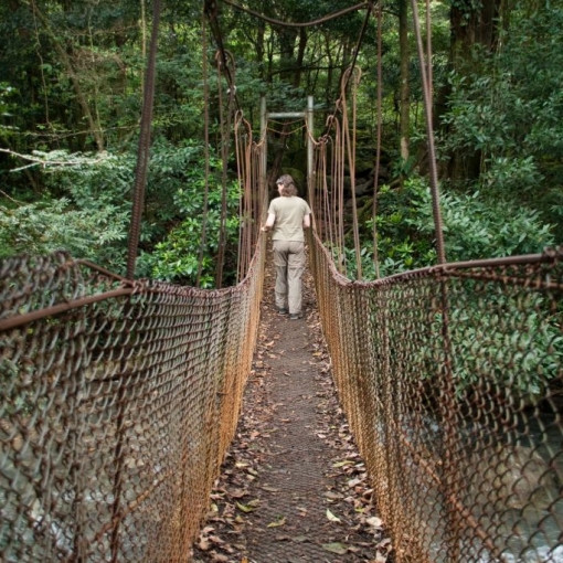 Retour Costa Rica