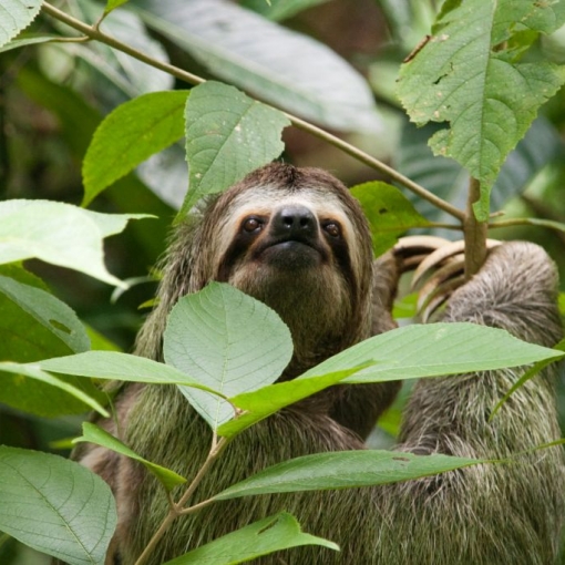 Quepos / Manuel Antonio