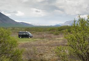 Dag 18 - 19  |  Hofsstadaskogur, Arkanes, Reykjavik, Pingvellir