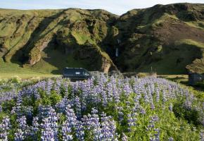 Dag 23 | Uxafotfoss (Vik) naar Skaftafell