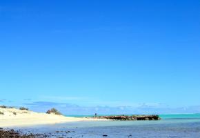 Op naar het noorden!