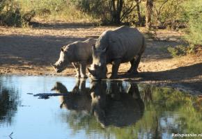 Khama Rhino Sanctuary