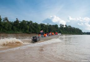 It's a jungle out there!