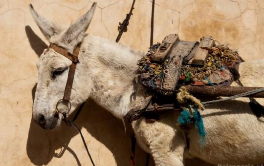 Bussen naar Marrakech