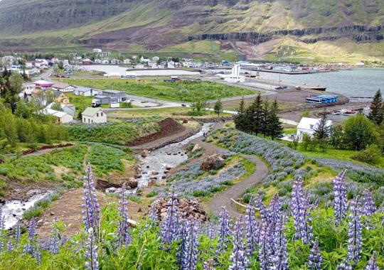 Dag 25 - 26 | Seydisfjordur