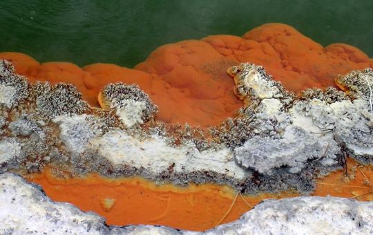 Naar bubbels en bronnen