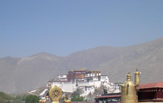 Weekje Lhasa