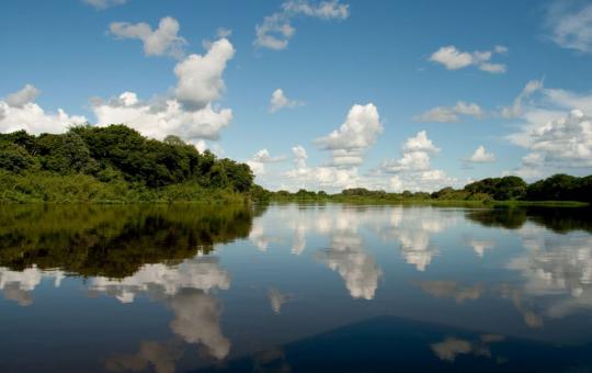 Pantanal