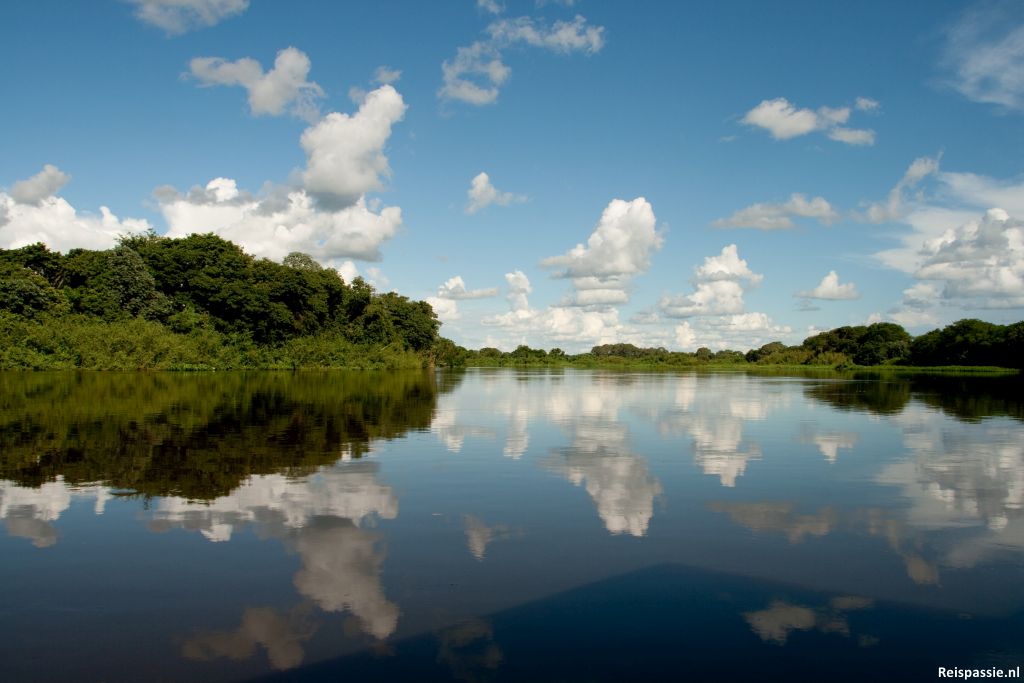 Pantanal