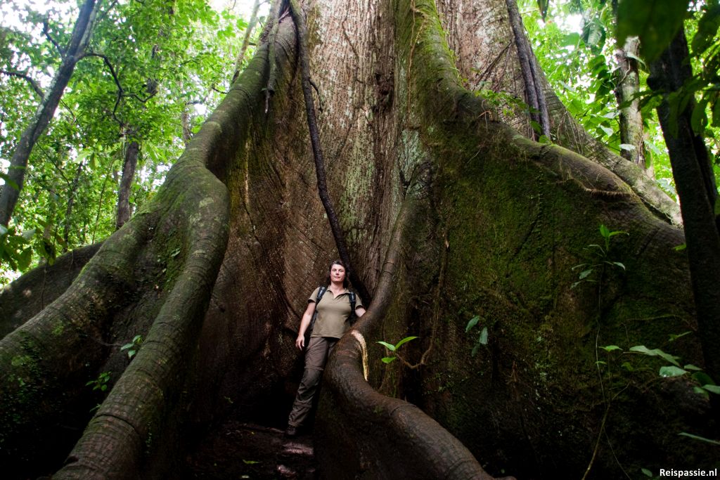 Vulcan Arenal – La Fortuna