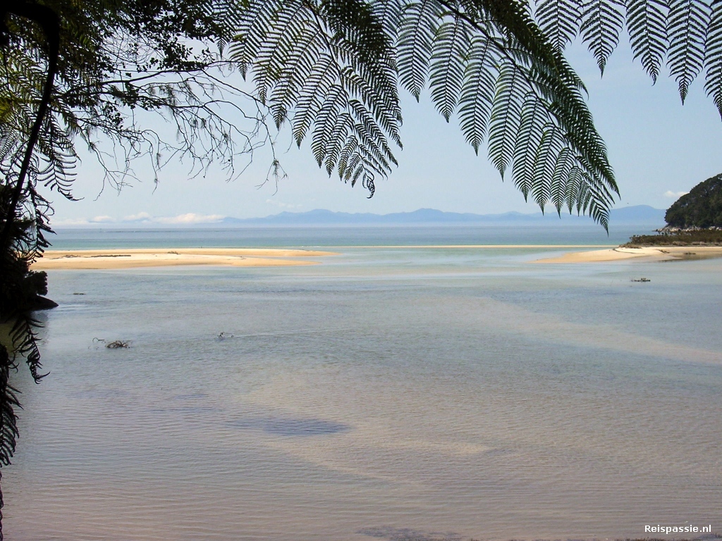 In Abel Tasman NP.