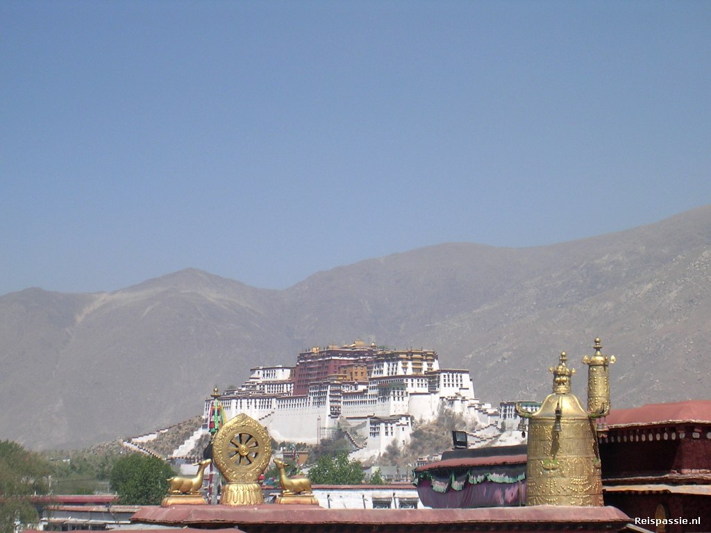 Weekje Lhasa