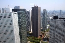 Tokyo - Uitzicht vanaf Tokyo Metropolitan Government Offices