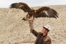 Bokonbaevo - Eagle hunter