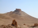 Palmyra - Het kassteel op de heuvel