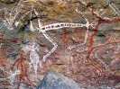 NT - Kakadu, Aboriginal art.