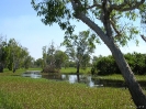 NT - Kakadu, fraaie wetlands