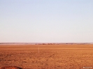 Mongolië - Gobi woestijn
