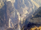 Colca Canyon - Condor