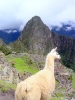 Machu Picchu - Genieten van het uitzicht