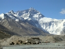 Lhasa naar Kathmandu - Richting Basecamp