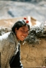 Zhongdian naar Lhasa -  Vrouw in Pomda