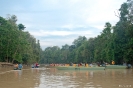 Kinabatangan - op de rivier (ben je nooit alleen ... )