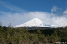 Puerto Varas - in Osorno national park
