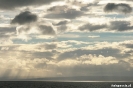 Punta Arenas - Seno Otway pinquin kolonie zonsondergang