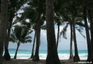 Borocay - palmpjes op het strand