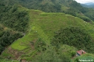 Rijstterrassen van Banaue.
