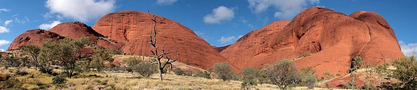 AUSTRALIE - Northern Territory - The Olga's National Park