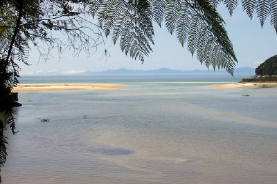 In Abel Tasman NP.