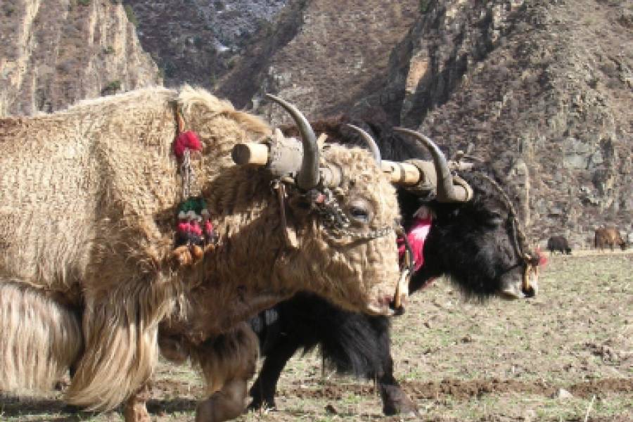 De overland naar Tibet - Namse Zampa naar Lhasa